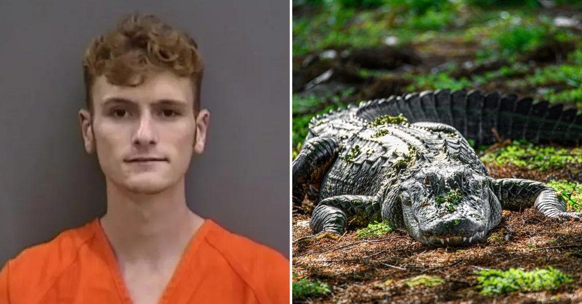 Man Arrested For Breaking Into Busch Gardens Alligator Enclosure Cops