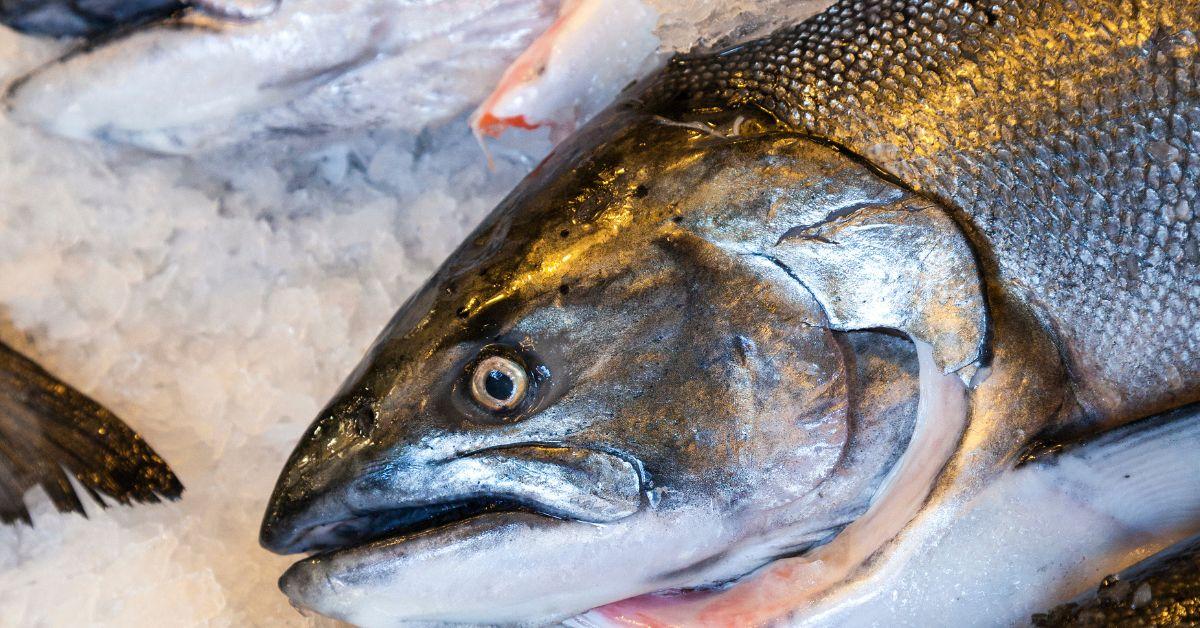 Hundreds of Thousands of Dead Fish Found in California River