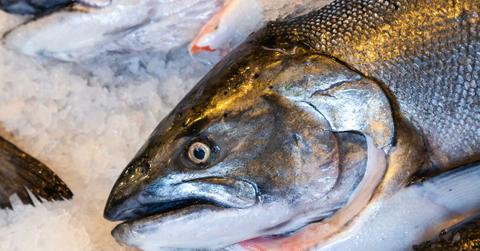 Hundreds of Thousands of Dead Fish Found in California River