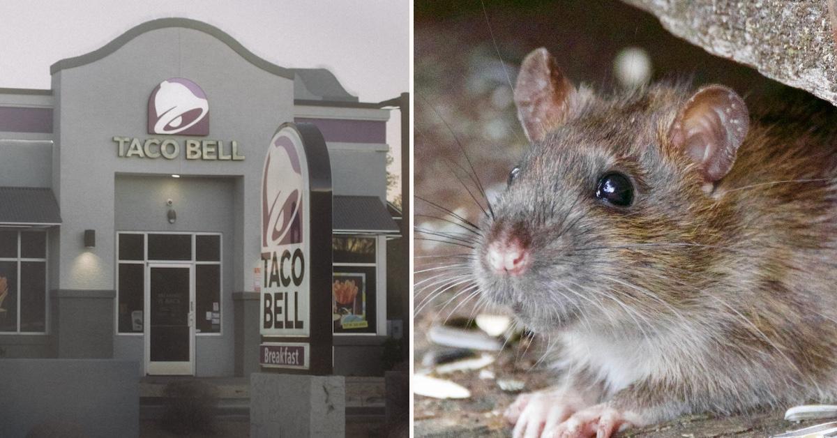 Man 'Possibly Consumed Rat Poison' In Taco Bell Food Sheriff