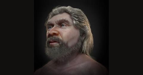 300,000-Year-Old Human Face Revealed by Brazilian Designer