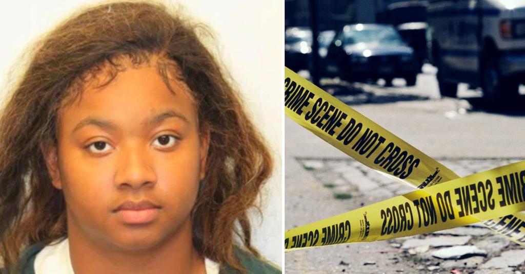 woman allegedly shot mom, kidnapped her newborn twins