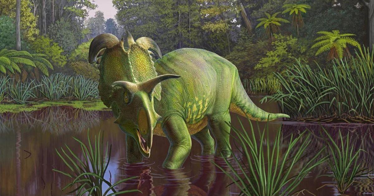 New Montana Dinosaur Species Unveiled with Loki-Like Blade Horns