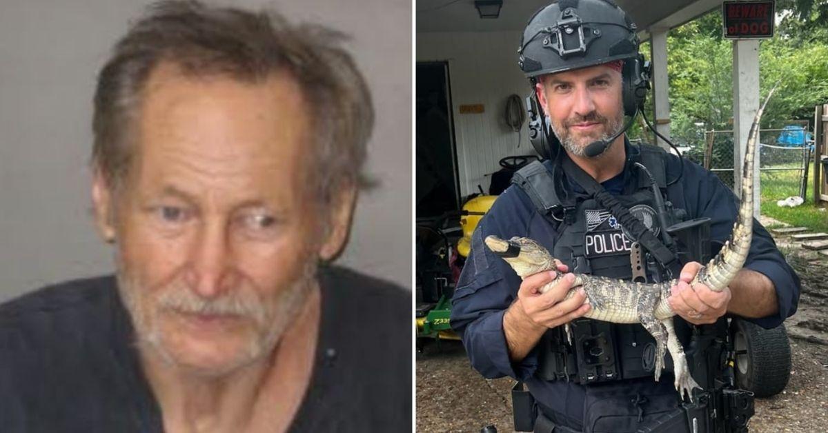 small alligator seized police standoff  year old louisiana man