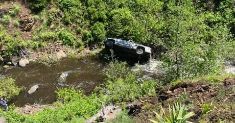 Dog Runs 4 Miles to Seek Help After Man’s Car Crash in Oregon Ravine