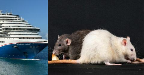 A deadly outbreak of Hantavirus linked to a cruise ship has raised several questions.