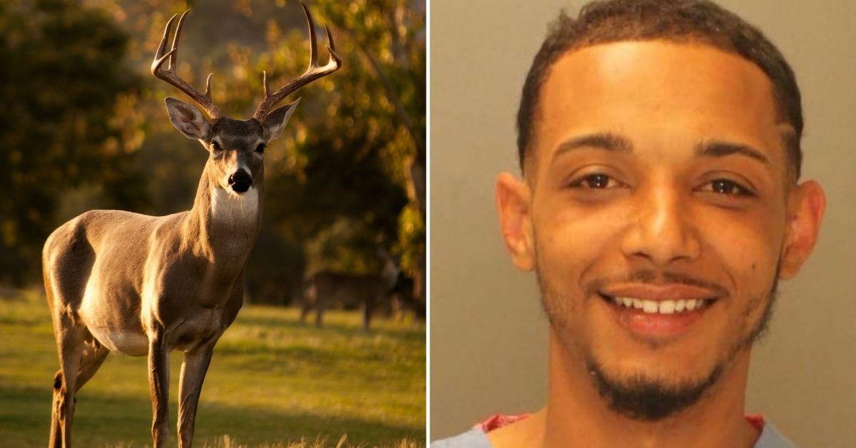 nude man stole school bus dead deer pennsylvania