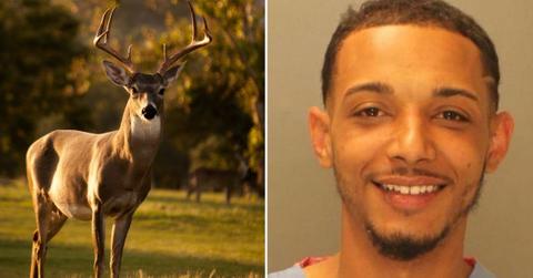 nude man stole school bus dead deer pennsylvania