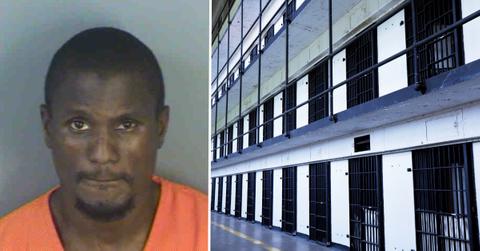 florida shooting arrest