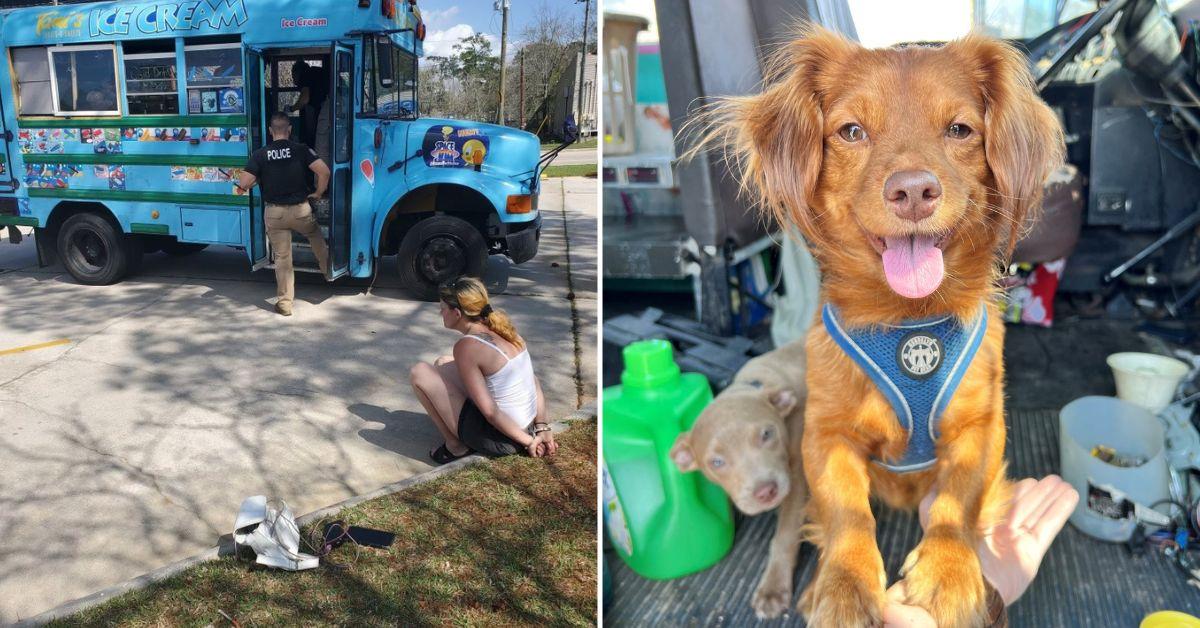 louisiana woman meth puppies ice cream truck