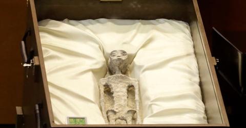 'Non-Human' Alien Corpses Originated From 'Unknown Species': Analysts