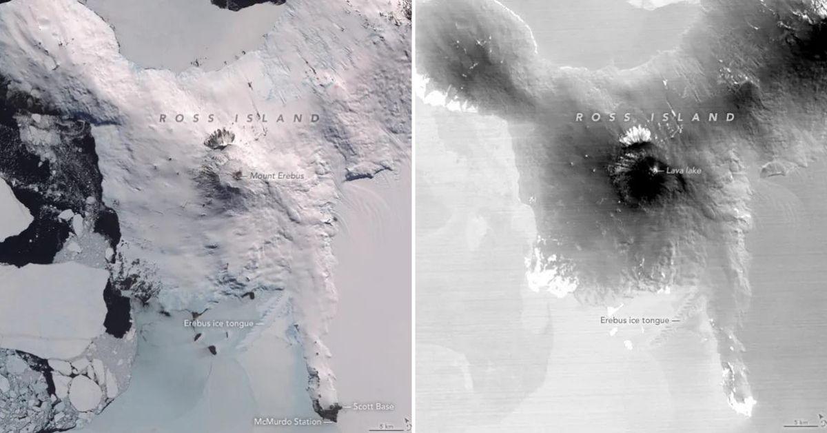 Mount Erebus: The $6,000 Daily Gold Harvest of Antarctica