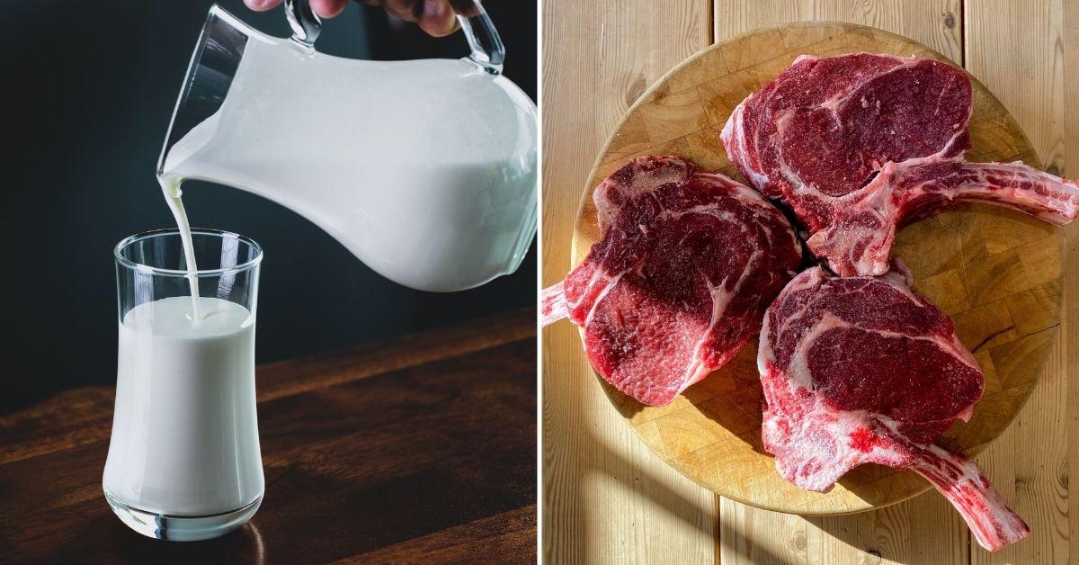 Red Meat and Dairy Linked to Enhanced Anti-Tumor Immunity