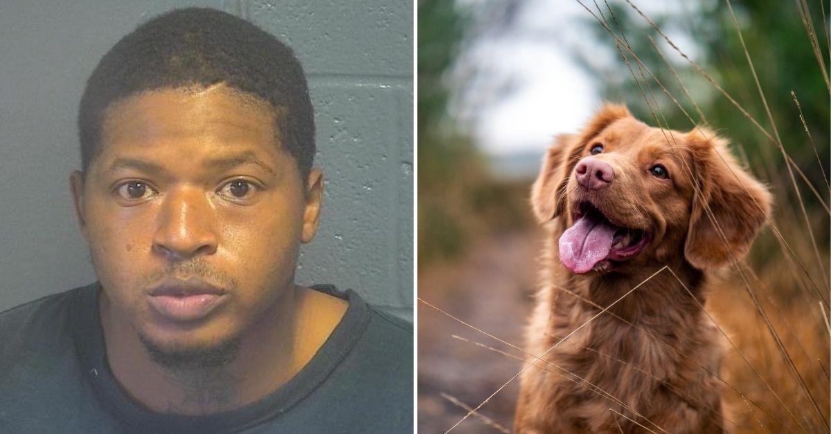 oklahoma man assaults woman stabs dog