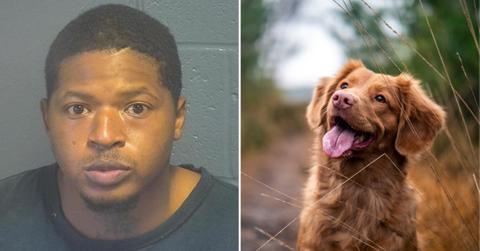 oklahoma man assaults woman stabs dog