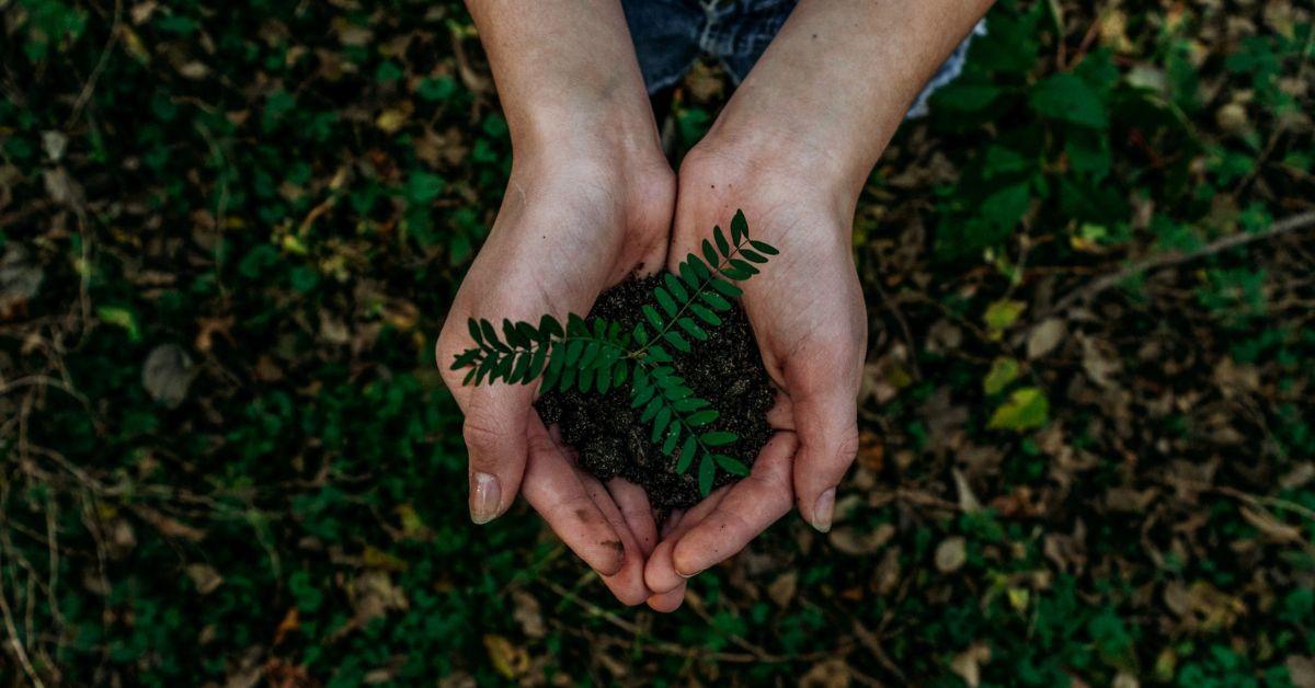 Scientists Unearth Infinite Power Source from Soil Microbes