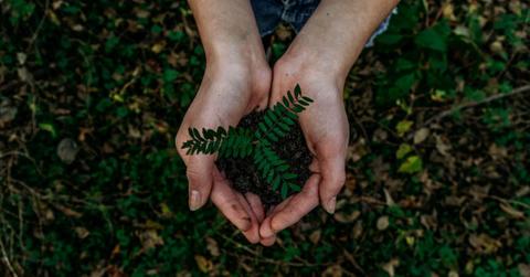 Scientists Unearth Infinite Power Source from Soil Microbes