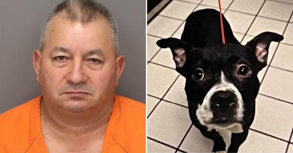 Man Accused of Animal Cruelty After Dog Found Decapitated in Park