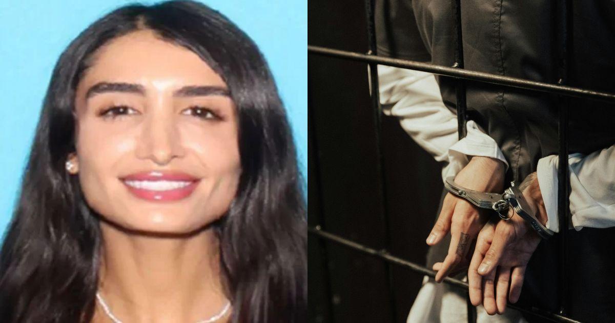 Adva Lavie faces up to six felony charges.