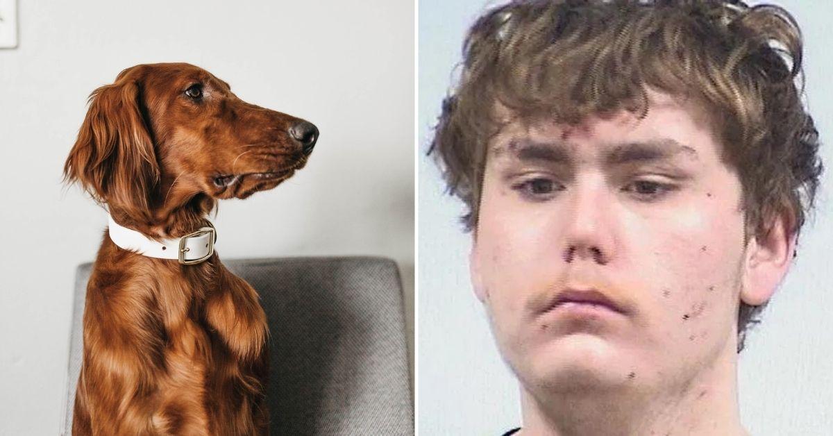 indiana man sex with family dog threatens to kill mom