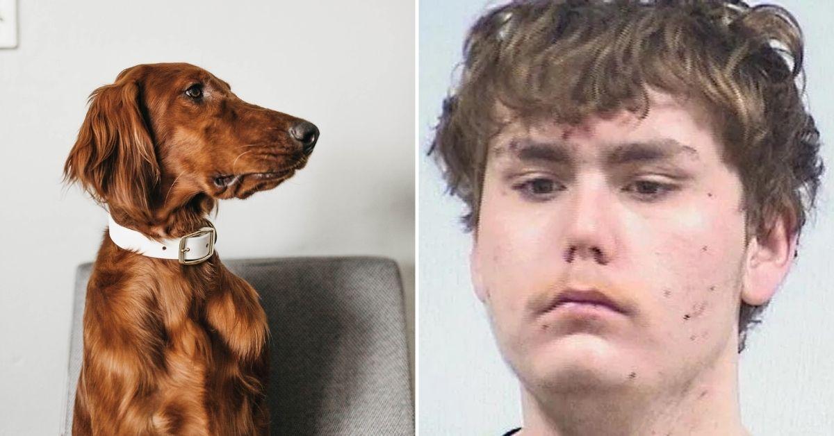 Indiana Man Caught Having Sex With Dog, Threatens to Kill Mom: Cops