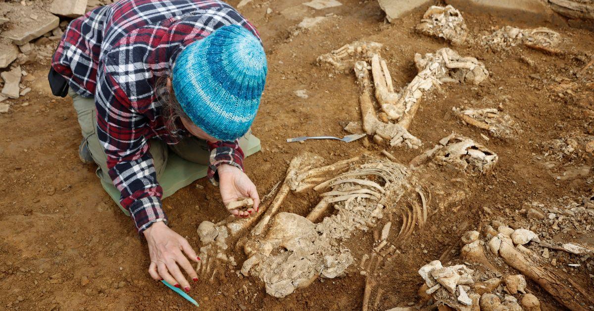 scottish skeletons unearthed tomb remote island