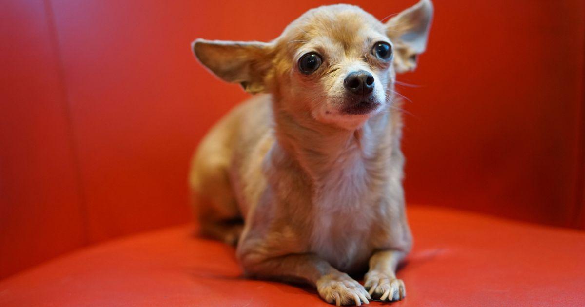 Representative Image.