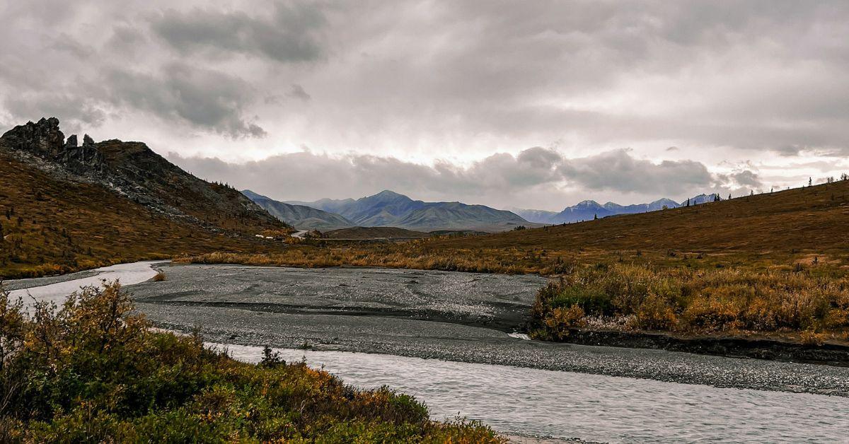 Ancient Ecosystem Filled With Dinosaur Tracks Discovered in Alaska