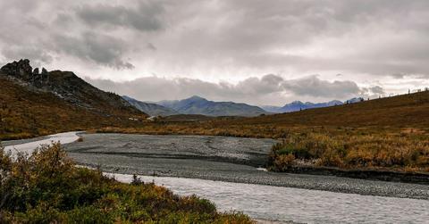 Ancient Ecosystem Filled With Dinosaur Tracks Discovered in Alaska