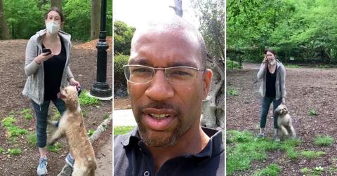 manhattan da drops charges central park karen called innocent black birdwatcher fpd