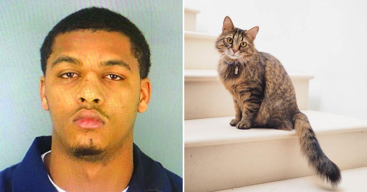 texas man sentenced kicking cat setting on fire