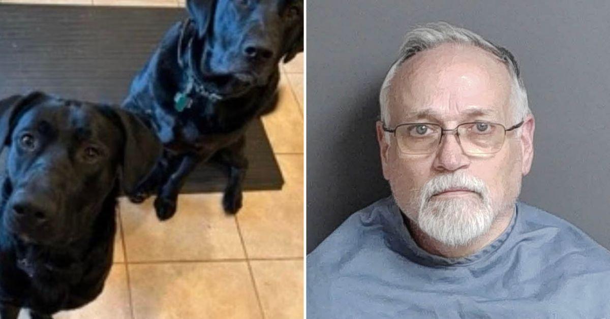 Man Reported Dogs Stolen. Now He is Sentenced for Killing Them.