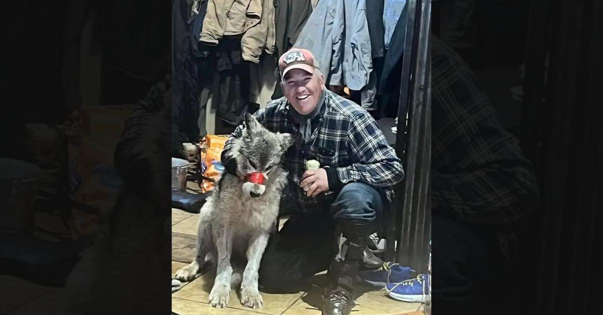 Wyoming Hunter Cited for Bringing Wounded Wolf with Taped Mouth to Bar