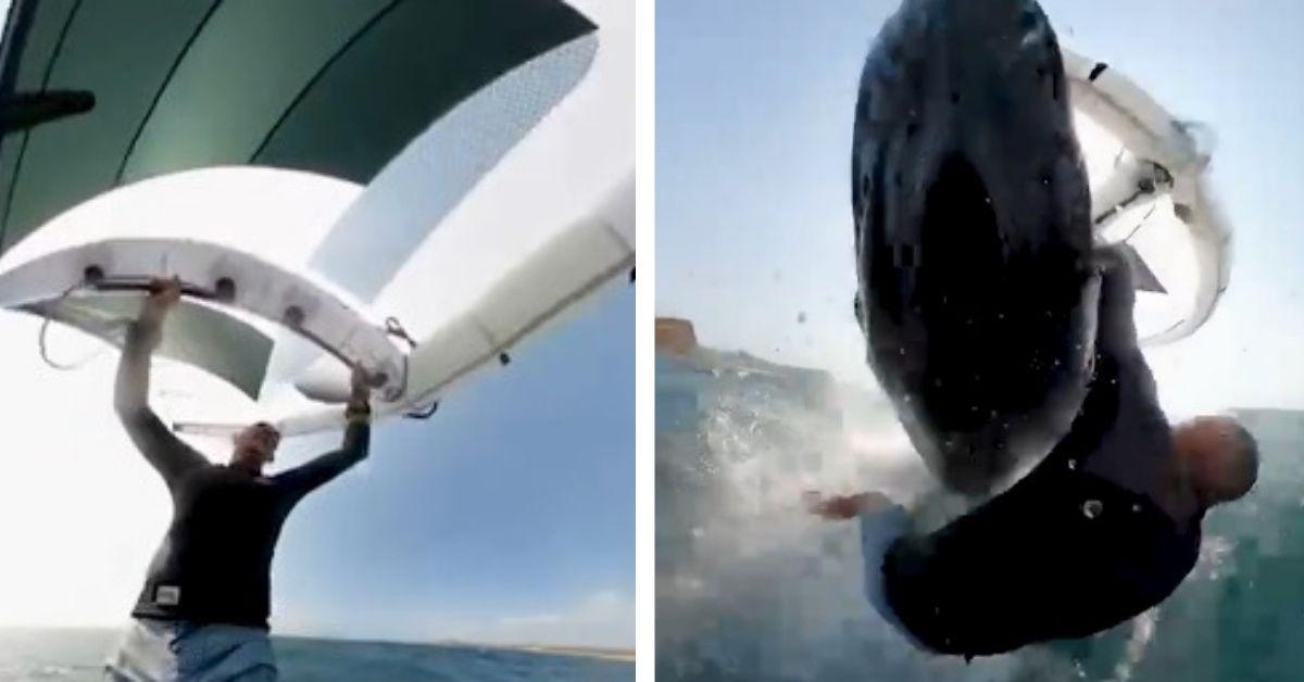 Aussie Surfer Escapes Whale Collision Which Put Him Underwater