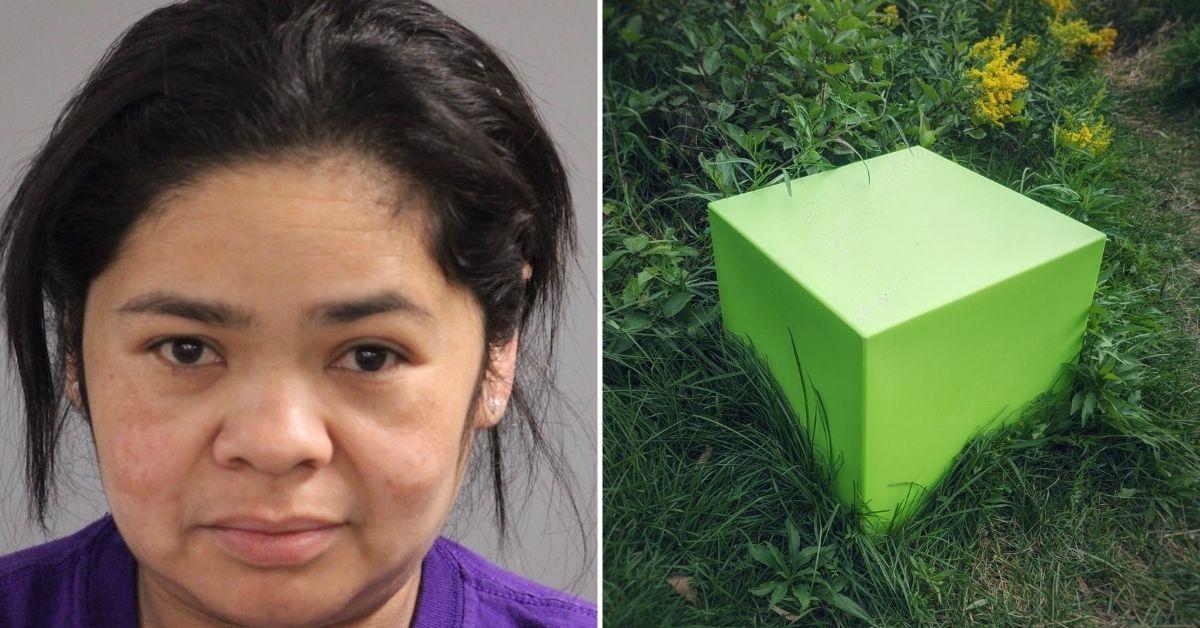 Newborn Baby Found Dead In Cardboard Box, Mother Charged Police