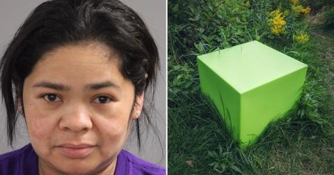 dead baby cardboard box wisconsin mother charged