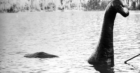 NASA Urged to Assist in New Loch Ness Monster Search Taking Place