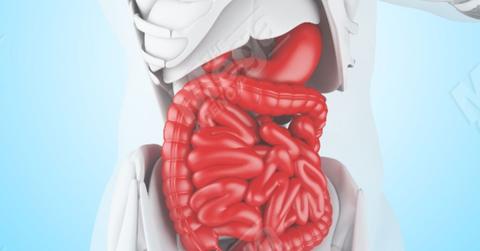 New 'Viruslike Entity' Discovered in Human Mouth, Gut Could Alter Genes