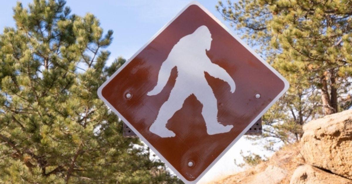 Bigfoot Hunt: Man Calls Sheriff's Office for Laws on Hunting Sasquatch