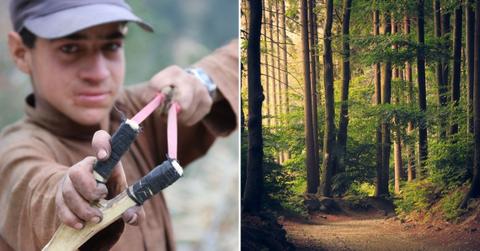 michigan  year old boy slingshot saves little sister kidnapping