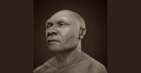 Digital Images of Neanderthal Man Show 'Softer' Features