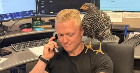 Police outside Pennsylvania deal with traffic crisis caused by a lost chicken