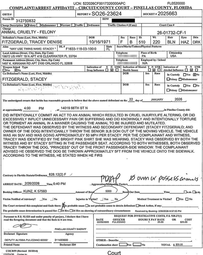Arrest affidavit from the Pinellas County Sheriff’s Office.
