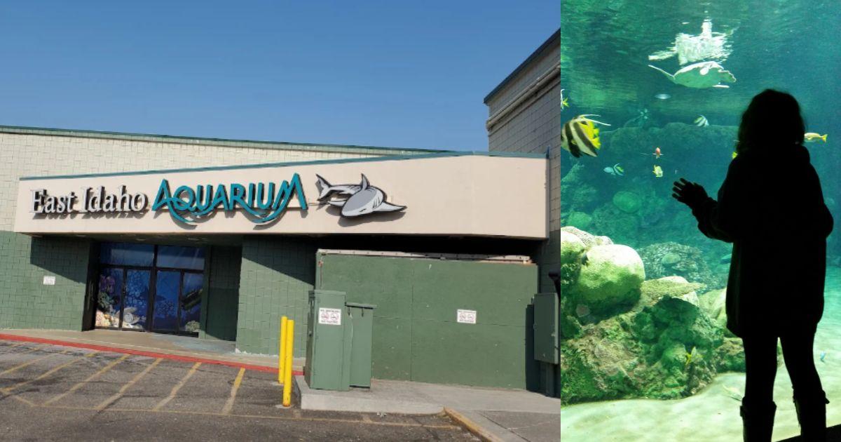Exterior view of East Idaho Aquarium where alleged child abuse incident took place.