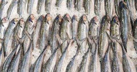 michigan man assaults store clerk frozen fish