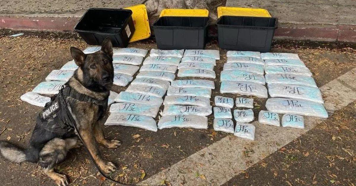 Traffic Stop Leads to $3.4 Million Meth Seizure by California Police