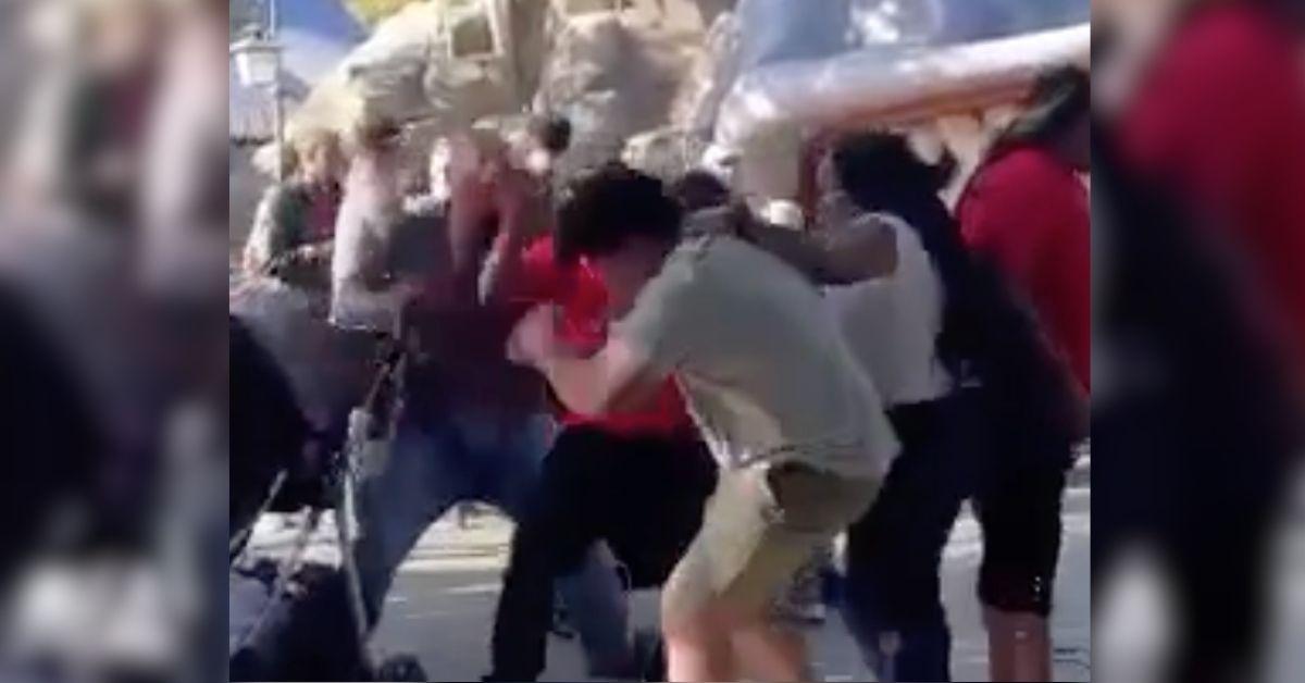 Disneyland Visitors Duke It Out in Brawl Caught on Camera