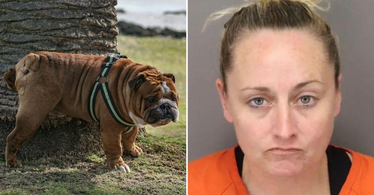 Florida Woman Tried to Use Dog Urine for Drug Test: Cops