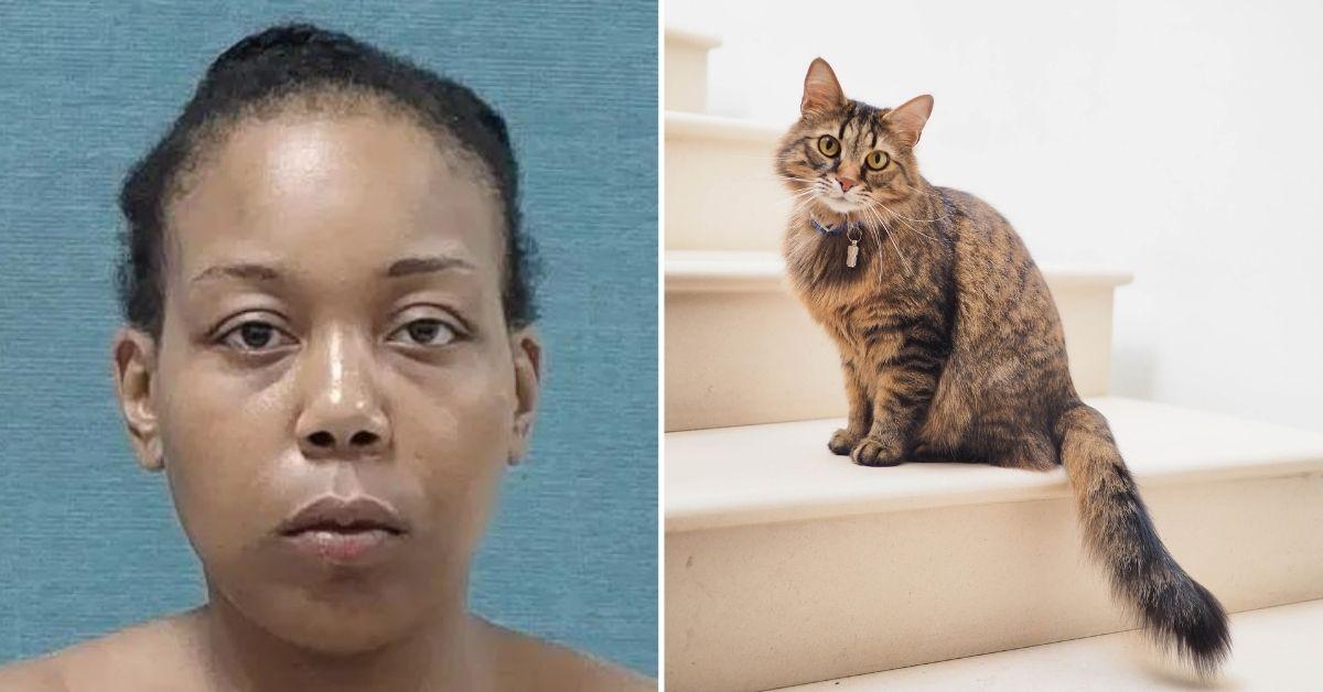 Ohio Woman Accused of Killing Cat, Eating It in Public