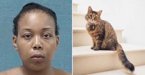 Ohio Woman Accused of Killing Cat, Eating It in Public